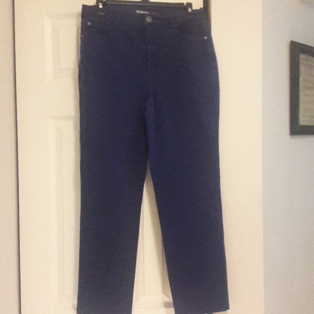 Royal Blue Style & Co. Skinny Jeans 8 Short
